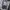 Sling Bag Camera Lowepro•seken• photo 6