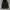 Wacko Maria Gulity Parties M65 Parka Jacket photo 6