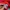 Adidas Sportswear Hoody Pria red photo 6