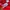 Adidas Sportswear Hoody Pria red photo 5
