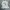 CPFM KANYE WEST I SEE GHOST x G STUDIOS photo 2