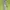 REEBOK OS LUX BOLD TIGHT - LEGGING SPORT WANITA (6093) photo 5