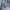 Casual Bomber jacket Pria green gray photo 5