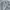 Casual Track jacket Pria green photo 3