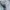 Casual Track jacket Pria green photo 5