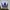 Crewneck Adidas Trifoil Big Logo  photo 1