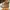 Timberland Premium Waterproof Boot Wheat Nubuck W White photo 2