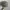 Y2K Patrol Cap Headers photo 2