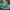 Vans Authentic 44 DX Anaheim Factory Green photo 3