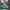 Vans Authentic 44 DX Anaheim Factory Green photo 2