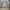 Knitwear Cable v neck academia gray Attention photo 3