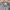 Knitwear Cable v neck academia gray Attention photo 8