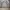 Knitwear Cable v neck academia gray Attention photo 2