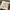 2000’s dickies genuine canvas celpocket faded brown pants photo 7