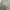 Jacket parka army m65 photo 3