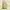 Stripe green yellow soft knit top photo 1