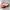 Asics Magic Speed 3 photo 1