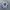 Adidas Casual Sneakers Pria white photo 5
