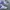 Adidas Casual Sneakers Pria white photo 2