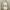 Sheer Cream Lace-Up Crop Outer photo 3