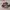 Adidas Indie Casual Sneakers Wanita burgundy white photo 1