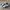 Adidas Indie Casual Sneakers Pria white black photo 1