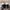 Adidas Indie Casual Sneakers Pria white black photo 4