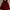 ribbon red top  photo 1