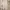 Eblin Kimono White Robe Sleepwear.