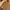 Polo Long sleeve Fred Perry Twin Tipped photo 1