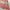 Lolita Fairy Maxi skirt Wanita pink cream photo 3