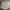 Japanese brand Streetwear Formal shirt Pria tan cream photo 2