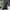 LOUIS VUITTON RIVOLI LUXEMBOURG SNEAKERS BLACK , LOUIS VUITT photo 6
