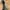 GUCCI Authentic Shoulder Totebag  Vintage Kanvas bukan tas c photo 5