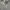 Minimalist Maxi dress Wanita gray photo 5