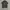 POLO RALPLAUREN SIZE L photo 1