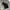 PROMENADE BAGGY BLACK JEANS photo 6