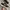 Adidas Alphacomfy photo 2