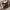Louis Vuitton Luxury Handbag Wanita brown photo 6