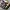 Louis Vuitton Luxury Handbag Wanita brown photo 2