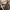 Louis Vuitton Luxury Handbag Wanita brown photo 3
