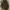 Louis Vuitton Luxury Handbag Wanita brown photo 5