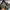 Wrangler Y2K Avant Garde Flare pants Wanita navy blue photo 4