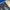 Wrangler Y2K Avant Garde Flare pants Wanita navy blue photo 5