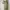 SMILE LAND Olive Green Crodd Crown Dressy Tee (L)