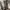Adidas Streetwear Y2K Jeans Pria white black photo 6
