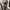 Adidas Streetwear Y2K Jeans Pria white black photo 5