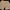 Grooverhyme Streetwear Minimalist Short Pria tan photo 2