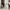 Heels charles and keith photo 4