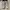 Adidas superstar photo 1